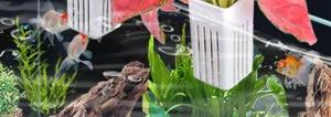 Vue détaillée du panier de plantes hydroponiques pour aquarium, panier suspendu en plastique.