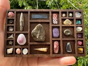 Boîte de présentation en bois miniature avec divers spécimens de cristaux et fossiles.