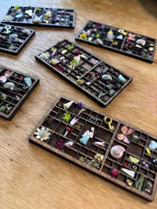 Gros plan détaillé d'étagères miniatures en bois présentant de minuscules spécimens.