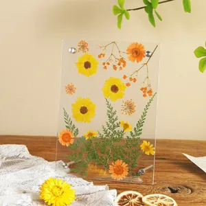Heldere acryl gedroogde bloem fotolijst botanische geperste bloem specimen home decor