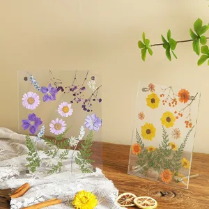 Acryl gedroogde bloemen fotolijst dubbelzijdig transparant plantenmonster.