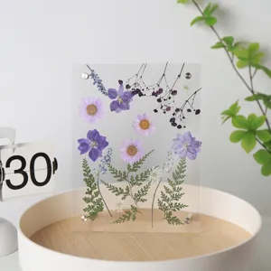 Transparant acryl geperst bloemenframe DIY botanisch specimen fotolijst display