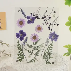 Gedetailleerd overzicht van handgemaakte DIY gedroogde bloemen in acryl fotolijst.