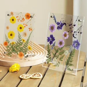 Gedetailleerd overzicht van heldere acryl geperste bloemen fotolijsten met gedroogde planten.