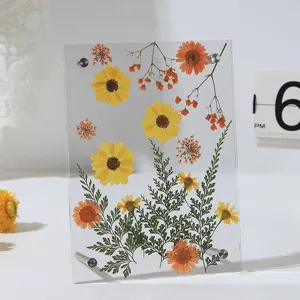 Acryl gedroogde bloem fotolijst transparant botanisch exemplaar nordisch minimalisten