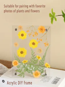 Noords minimalisten acryl DIY gedroogde bloemen fotolijst planten specimen decor