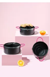 Detail view of mini tempura deep fryer with pink handles and oil filter rack on display.