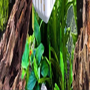 Vue détaillée du panier de plantes d'aquarium suspendu avec des plantes aquatiques vertes.