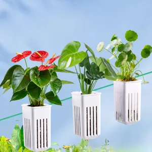 Panier de Plantes Hydroponiques Mural Suspendu pour Aquarium en Plastique Pot de Plantation d'Herbe Aquatique Décoration de Paysage d'Aquarium