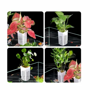Panier de plante hydroponique mural pour aquarium, tasse de plantation d'herbe aquatique pour décor.