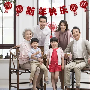 Chinese New Year hanging banner decoration with red glitter lanterns for festive home party.