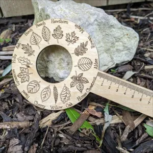 Holz Baum Blatt Identifikation Werkzeug Natur Erkundung Lineal fur Kinder Lernspielzeug
