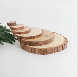 Natural Wooden Slices Micro Landscape Ornaments DIY Crafts Tree Wood Pieces For Flower Pots Base Home Decor