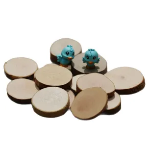 Natural wood slices set with cute blue birds figurines for micro landscape craft base
