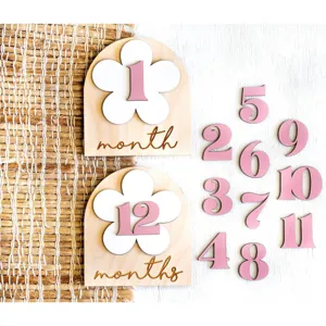 Wooden baby milestone monthly cards set, newborn photography props, pink numbers and arch design.