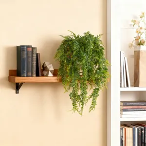 Detailed scene showing artificial hanging fern plant on wooden wall shelf interior decor.
