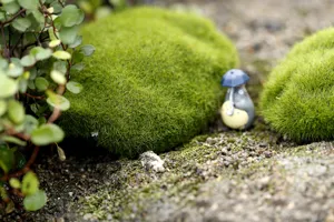 Simulated moss micro landscape fake stone flocked plastic lawn accessory creative handmade decor