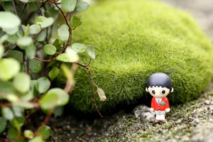 Simulated moss stone micro landscape flocked plastic lawn ornament creative handmade decor