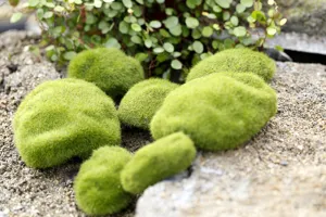 Artificial moss stones for micro landscape, flocked green faux grass stones, decor.