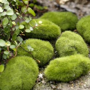 Artificial moss stones green flocked fake rocks micro landscape DIY garden decor accessories