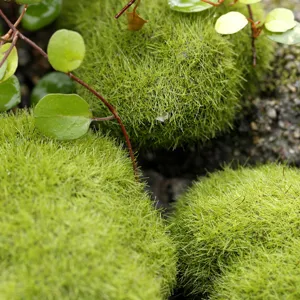 Artificial moss stones for micro landscape design, flocked green fake rocks for DIY crafts.