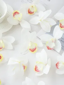 Detailed shot of artificial white orchid flowers scattered on white background with props.