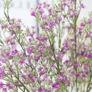 Detail view of artificial purple gypsophila flower bunch for home decor and wedding arrangement.