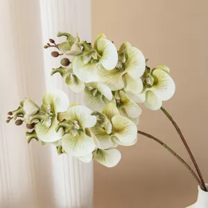 Dettaglio di ramo di orchidea phalaenopsis artificiale, ideale per decorazioni e feste.