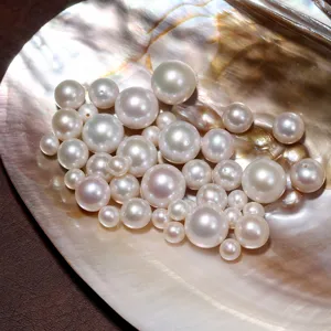 Hochwertige weiße Zuchtperlen lose Perlen in einer natürlichen Muschel für DIY Schmuck