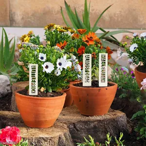 Wooden plant labels detail view showing engraved funny quotes inserted in garden flower pots.