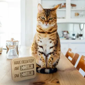 Wooden pet feeding reminder sign for cats and dogs with AM PM daily tracker detail view
