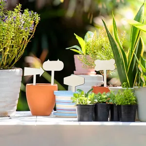 Wooden plant labels detail showing various shapes like arrow and bone inserted in pots.