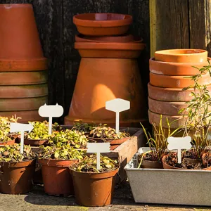 Plant labels detail view showcasing white wooden garden markers inserted in small pots.