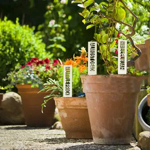 Wooden plant labels garden markers plant tags funny slogans outdoor flower pot decorations
