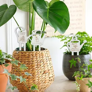 Wooden plant labels watering can shaped funny quote stakes for potted flowers indoor decor