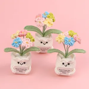Detail view of handmade crochet forget-me-not potted plants with cute smiley face pots