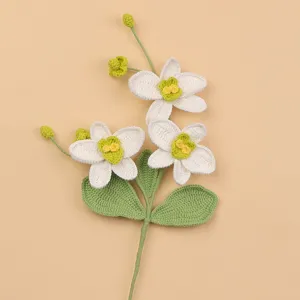 Detaillierte Ansicht eines handgefertigten Häkel-Phalaenopsis-Zweigs