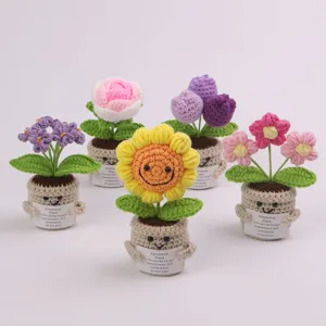 Set of colorful handmade crochet emotional potted plants with cute faces and quotes