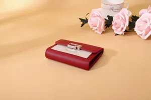 Detailansicht eines rot-beigen Mini-Damenportemonnaies mit einer G-förmigen Metallschnalle.