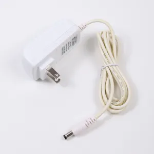 Dettaglio dell'adattatore di alimentazione 12V 1A con spina USA per lampada unghie