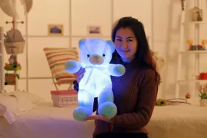 LED pluche teddybeer met gekleurde lichtjes, ideaal cadeau voor kinderen.