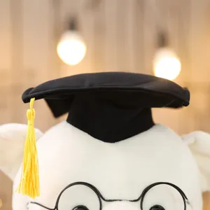 Detailopname van een witte afstudeerbeer pluche met een zwarte doctoraatshoed