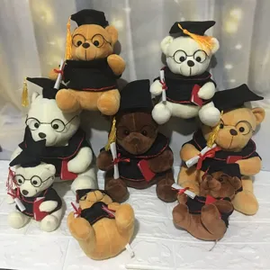 Gedetailleerd overzicht van meerdere afstudeer-teddyberen in verschillende kleuren