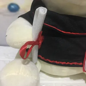 Detailopname van een afstudeerknuffelbeer met een wit diploma en een rood lintje