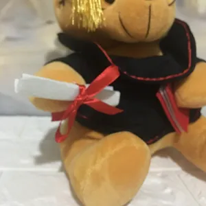 Detailopname van een afstudeerbeer in zwart gewaad met diploma en afstudeerhoed