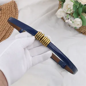 Detailed view of women's thin blue leather belt with elegant gold metal buckle for dresses.