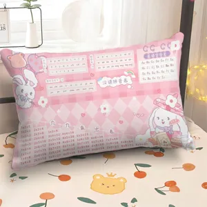 Cuscino educativo con tabellina e pinyin, perfetto per la camera dei bambini oggi.