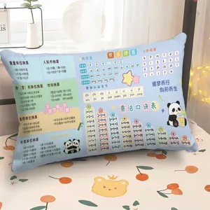 Primo piano dettagliato delle formule matematiche e pinyin stampate sul cuscino blu.