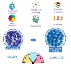 Educational water beads growth infographic showcasing two hours expansion and fun benefits.