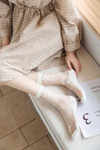 Transparente weiße Kristallsocken mit süßer Gänseblümchen-Stickerei, dünne Sommersocken.